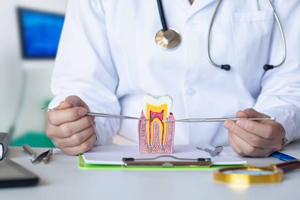 Best Emergency Wisdom Teeth Removal in Lookout Mountain, TN